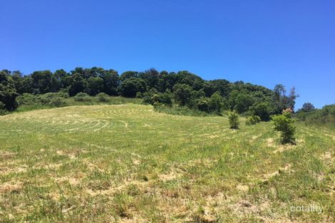 Property photo of 87 Willis Road Tregeagle NSW 2480