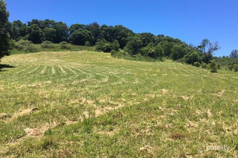 Property photo of 87 Willis Road Tregeagle NSW 2480