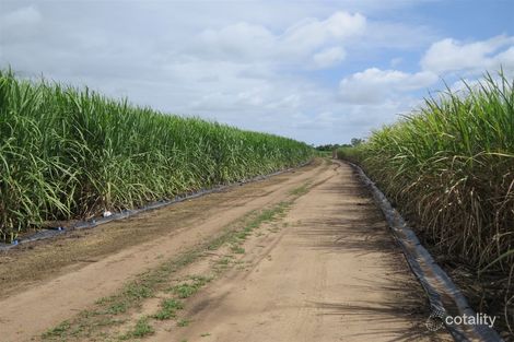 1268 Kirknie Rd, Osborne, QLD 4806