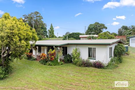 Property photo of 1 Cedar Street Yungaburra QLD 4884