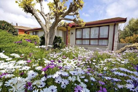 53 Surrey St, Devonport, TAS 7310
