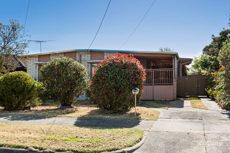41 Windsor Cres, Bundoora, VIC 3083