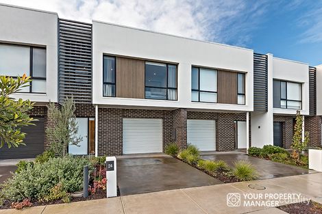 24 Abbington Ave, Cheltenham, VIC 3192