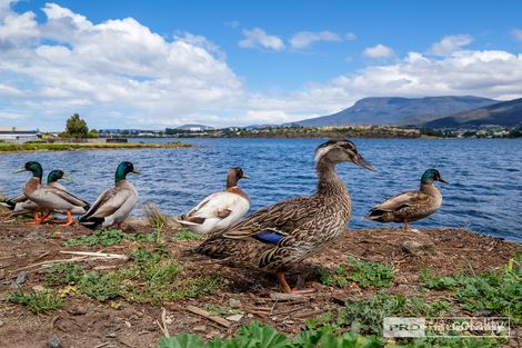 Property photo of 13 Voss Court Old Beach TAS 7017