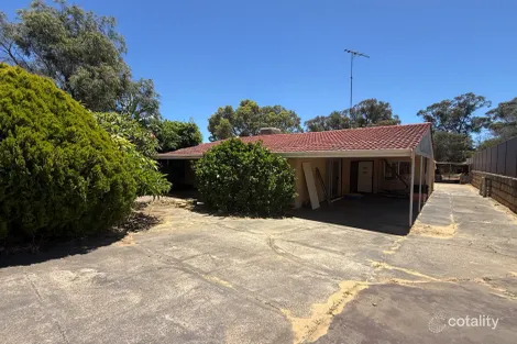 Property photo of 11 Mulberry Close Bouvard WA 6211