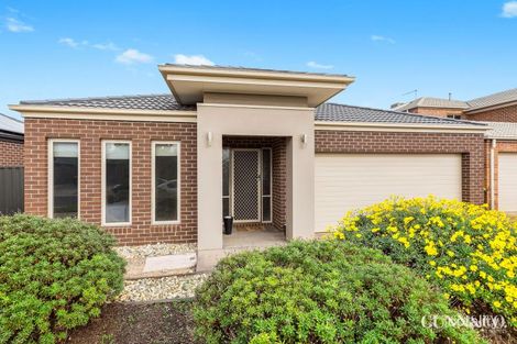 Property photo of 25 Goodenia Avenue Manor Lakes VIC 3024