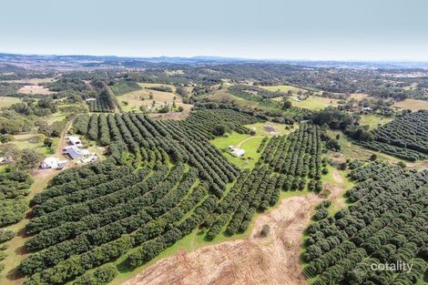 102 Muller Rd, Tregeagle, NSW 2480