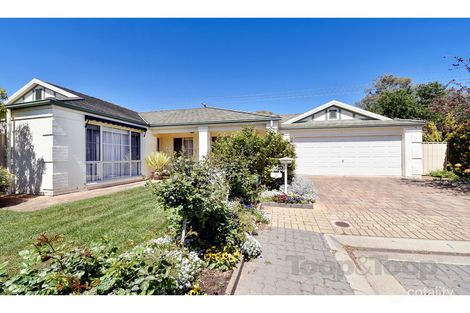 3 Finlay Mews, Morphettville, SA 5043
