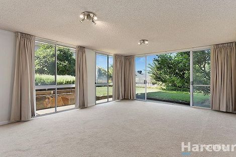 Property photo of 22 Saladin Avenue Glen Waverley VIC 3150