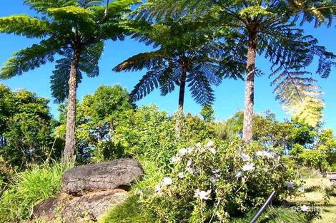 Property photo of 53 Dowling Street Malanda QLD 4885