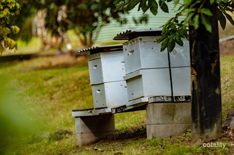 Property photo of 450 Cookes Road Conondale QLD 4552