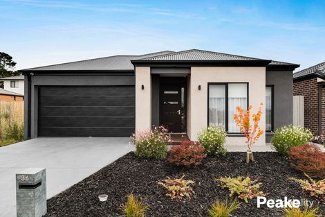 36 Barbara Ave, Officer, VIC 3809