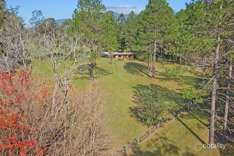 5 Back Creek Rd, Back Creek, NSW 2484