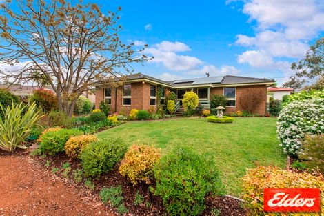 Property photo of 6 Luther Place Macgregor ACT 2615