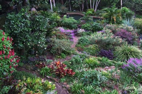 Property photo of 495 Humpty Back Road Pearces Creek NSW 2477