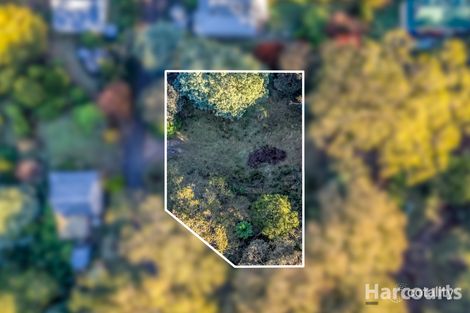 Property photo of 11 Camp Hill Road Walhalla VIC 3825