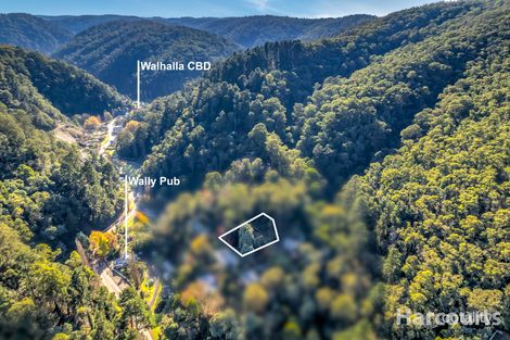 Property photo of 11 Camp Hill Road Walhalla VIC 3825