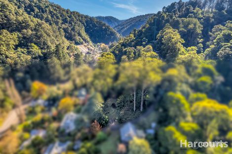 Property photo of 11 Camp Hill Road Walhalla VIC 3825