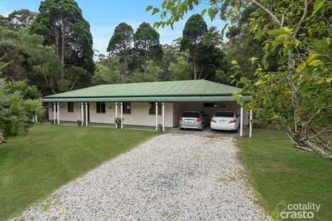 Property photo of 19 Ee-Jung Road Springbrook QLD 4213