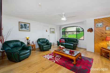 Property photo of 19 Burringbar Street North Balgowlah NSW 2093