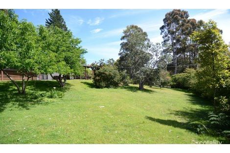 Property photo of 6 Dawson Avenue Wonboyn NSW 2551