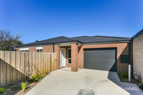 43b Marjorie Ave, Belmont, VIC 3216