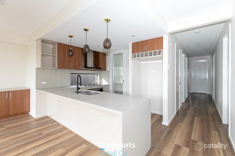 Property photo of 25 Latifolium Street Donnybrook VIC 3064