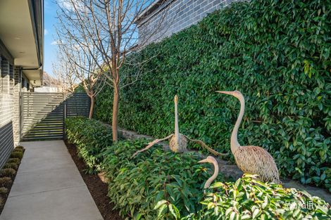 Property photo of 3 Perunga Rise Throsby ACT 2914