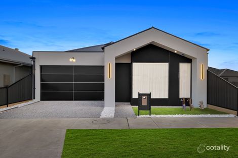 Property photo of 6 Aniseed Street Mickleham VIC 3064