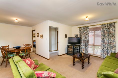 Property photo of 1A Theodore Street Edwardstown SA 5039