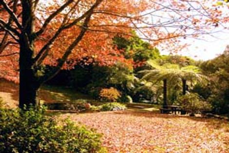 Property photo of 2690 Springbrook Road Springbrook QLD 4213