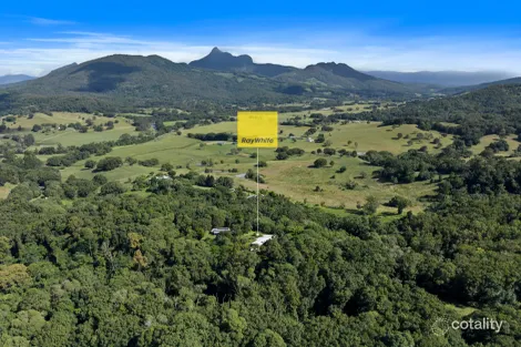 Property photo of 266 Tyalgum Road Eungella NSW 2484