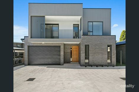 117b Chester Hill Rd, Bass Hill, NSW 2197