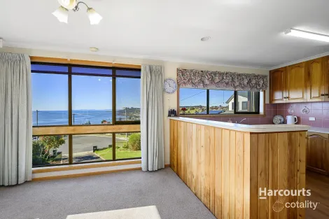Property photo of 18 Kelvin Street Penguin TAS 7316