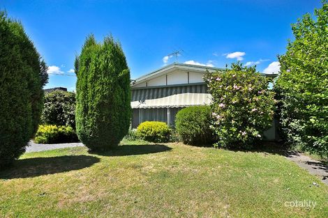 Property photo of 39 Lowson Street Fawkner VIC 3060