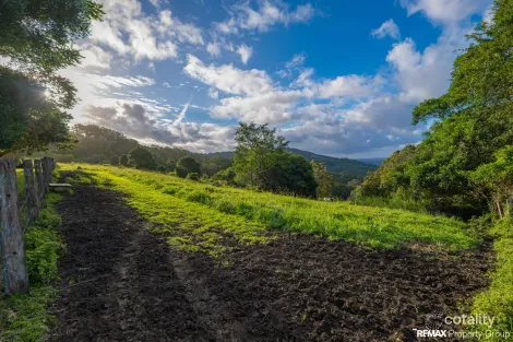 Property photo of 329 Stewart Road Coondoo QLD 4570