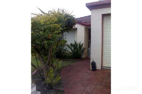 Property photo of 10 Bernheid Crescent Sippy Downs QLD 4556