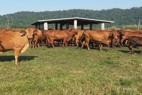 1353 Bramston Beach Rd, Bramston Beach, QLD 4871