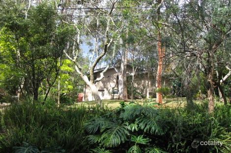 Property photo of 19 Strone Avenue Wahroonga NSW 2076