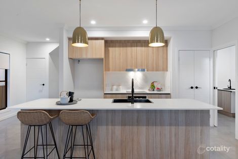 Property photo of 25 Southey Street Salisbury QLD 4107