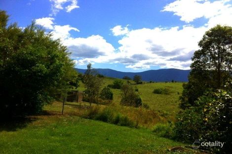 Property photo of 5 Carraboi Terrace Tyalgum Creek NSW 2484