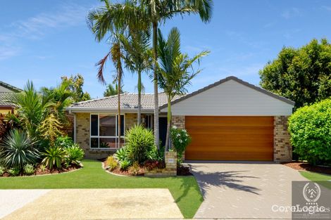 Property photo of 71 Numbat Court Coombabah QLD 4216