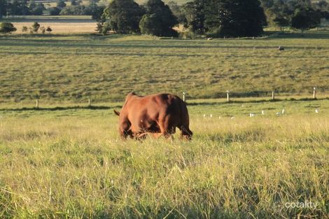 131 Kirrakoppa Rd, Peeramon, QLD 4885