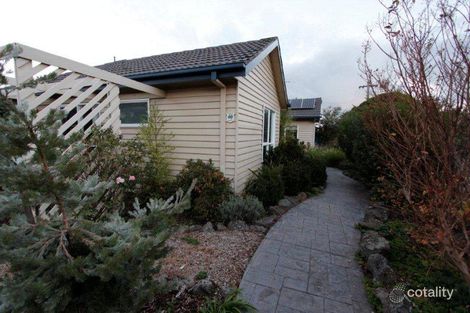 25 Pavo St, Belmont, VIC 3216