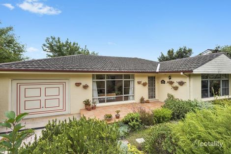Property photo of 19 Yannina Avenue Hornsby Heights NSW 2077