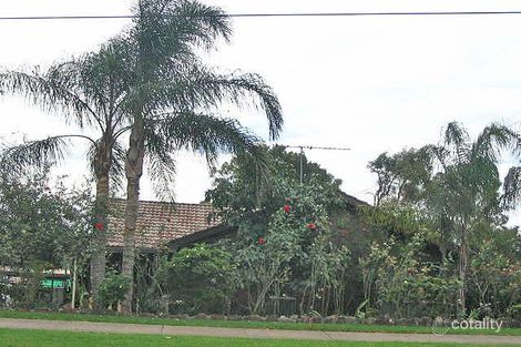 31 Illabo St, Quakers Hill, NSW 2763