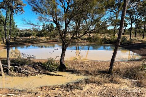Property photo of 97 Golden Glow Road Tara QLD 4421