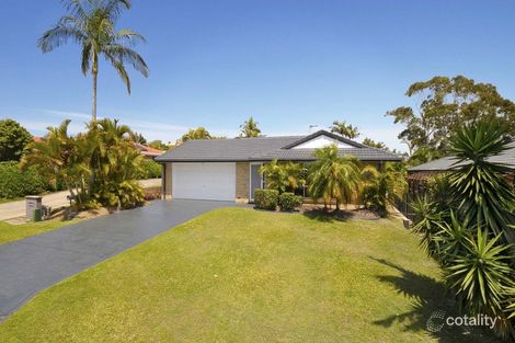 16 Rees Ct, Elanora, QLD 4221