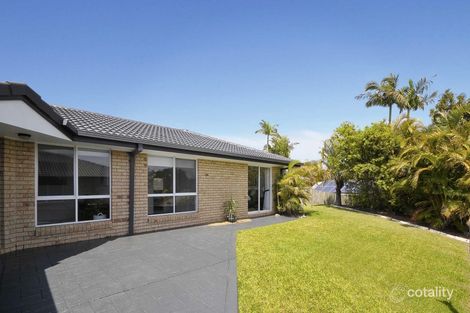 Property photo of 16 Rees Court Elanora QLD 4221