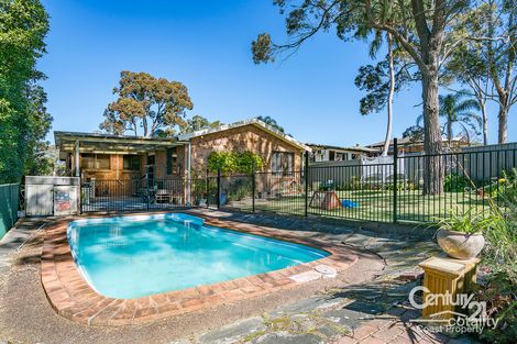Property photo of 19 Elaine Avenue Berkeley Vale NSW 2261